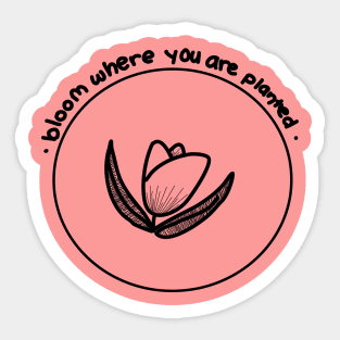 Bloom where you are planted Sticker